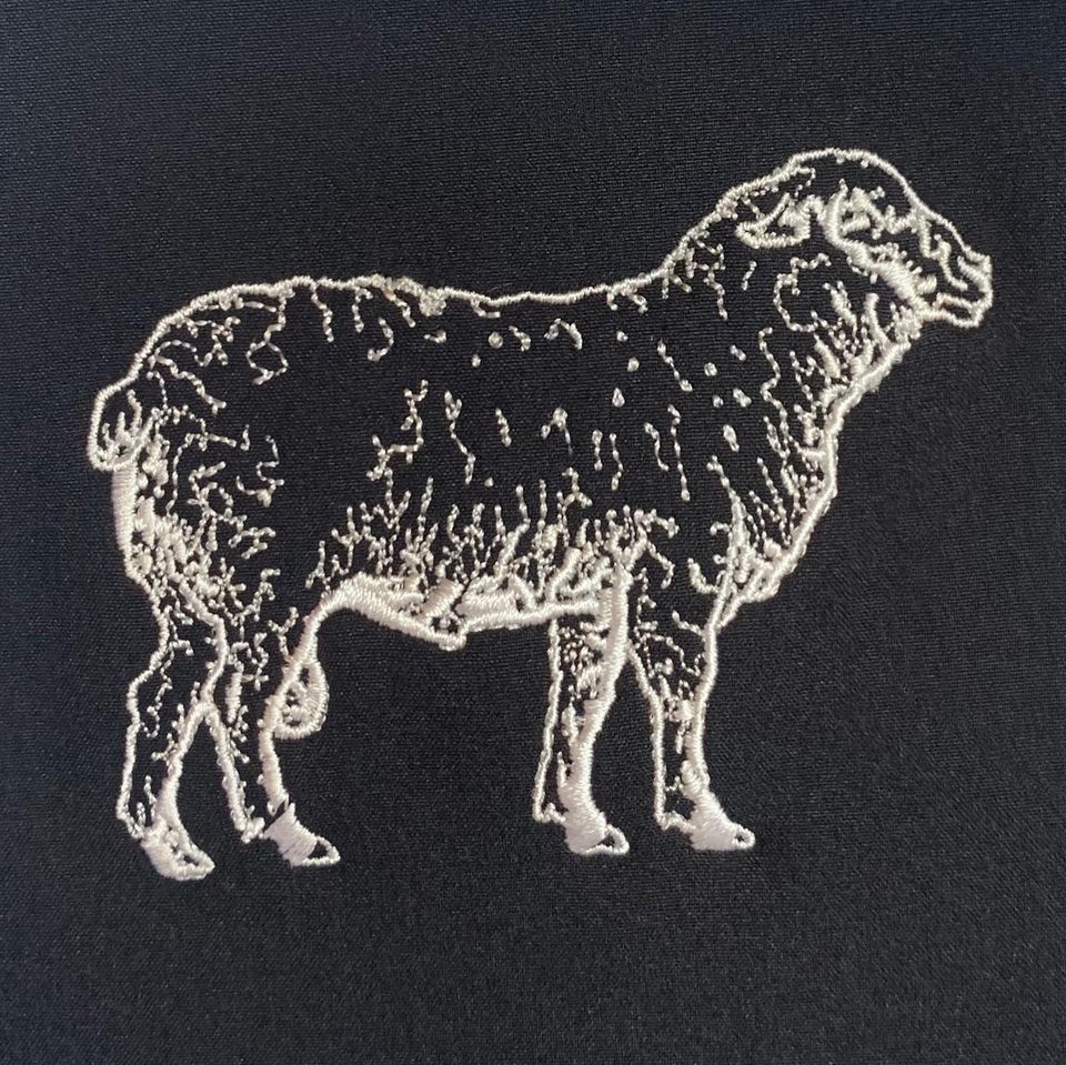 Digitising for Logo - Image 6