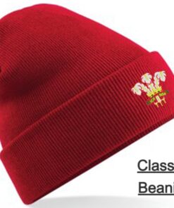 Embroidered Wales Beanie