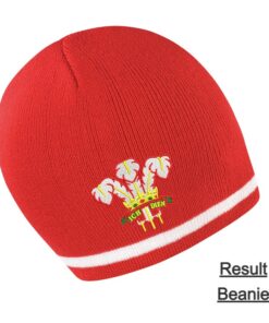 Alternative view of Embroidered Wales Beanie
